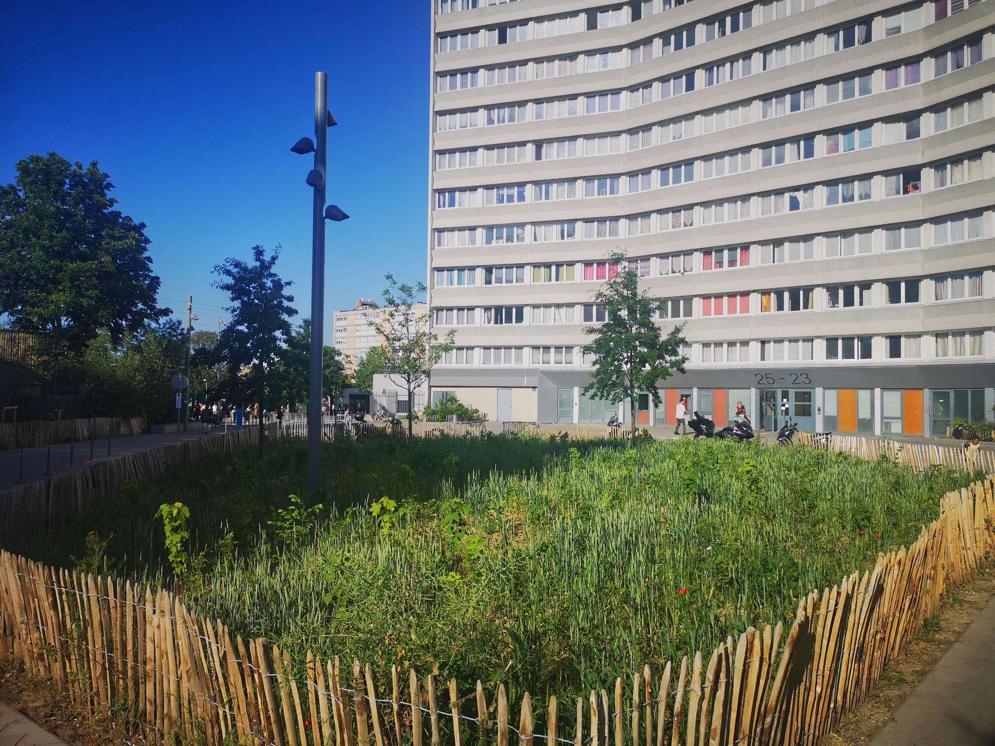 2021 –  Miyawaki Planting in Colombes  – Z Tower