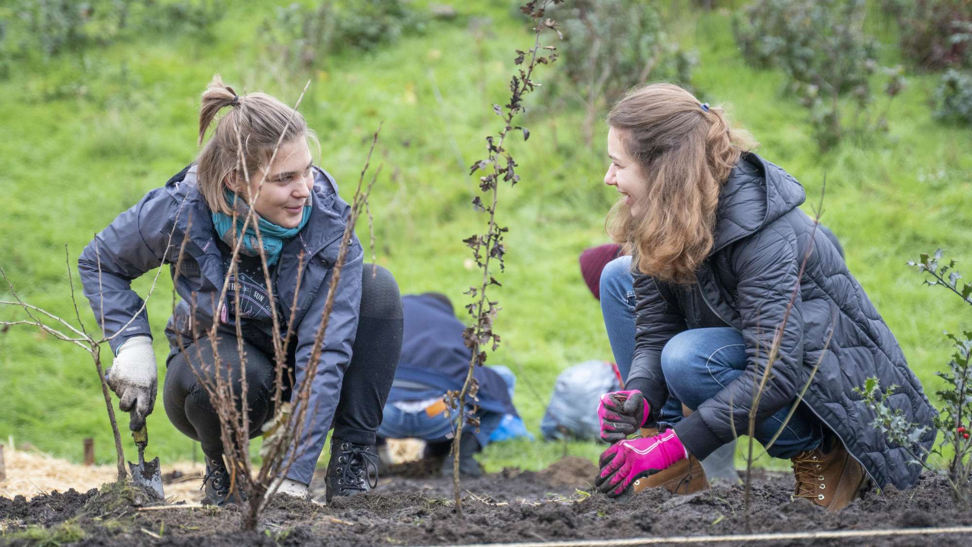 2020 – Miyawaki Planting in Nanterre University