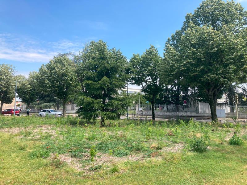 2022 – Miyawaki Planting in Vénissieux, Boulevard du Docteur Coblod